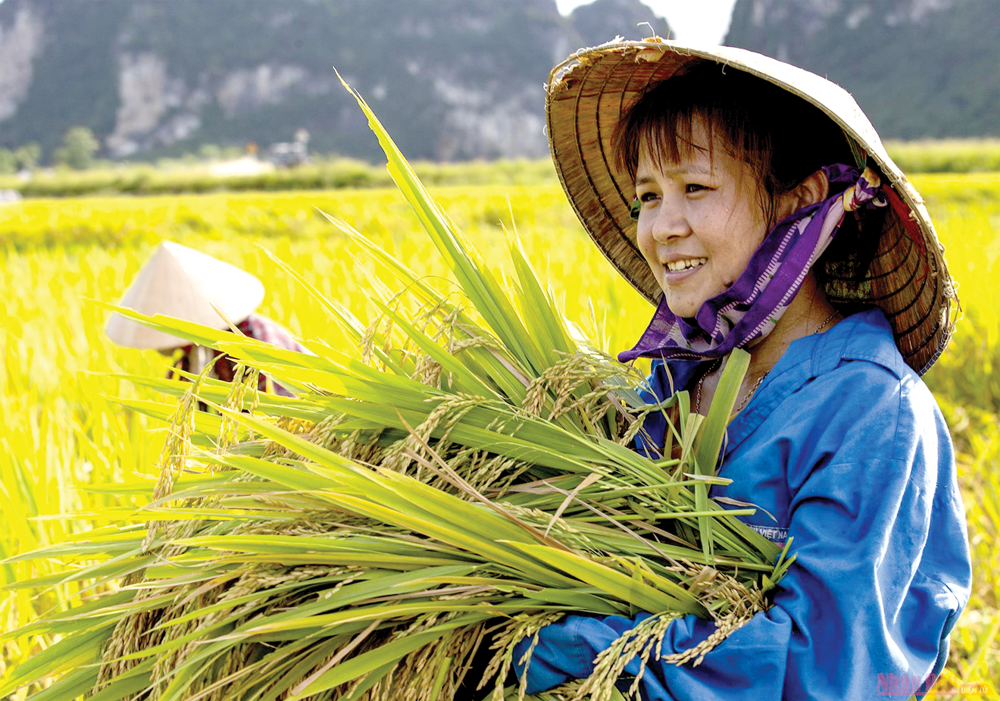 Bất bình đẳng là một trong những yếu tố ảnh hưởng đến sự PG88 hơn 2,1 triệu thành viên bền vững.