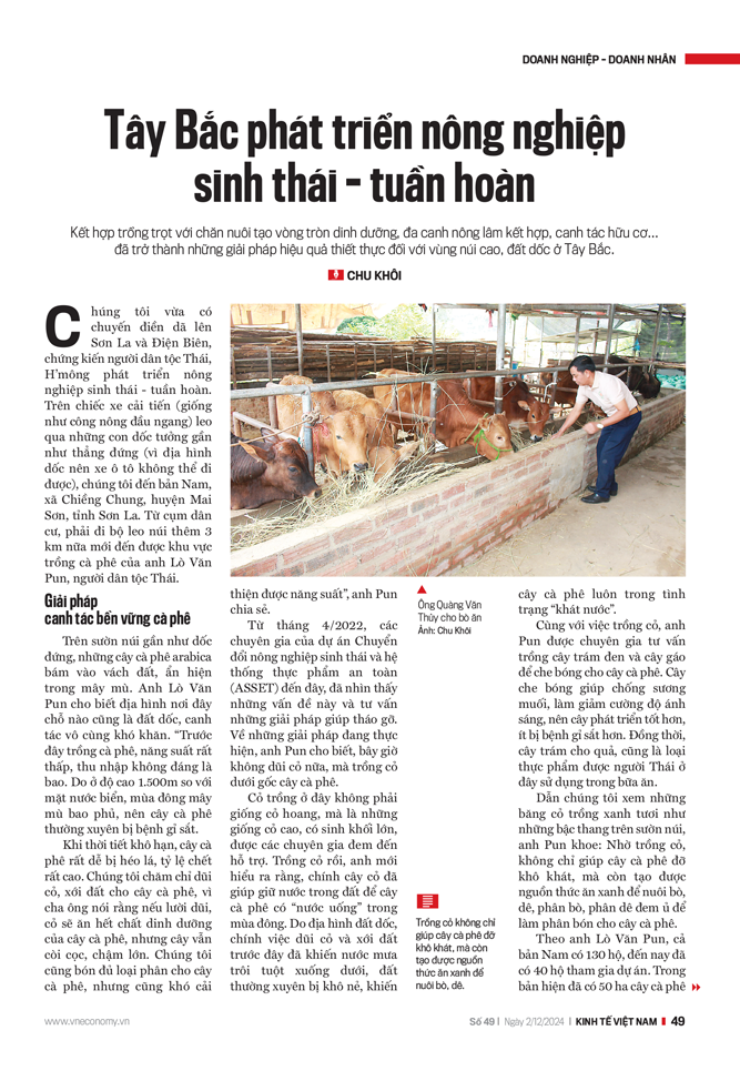 6PG88VN
