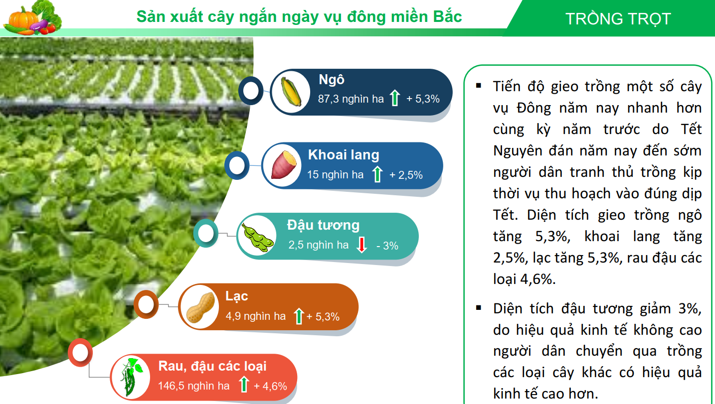 6PG88VN
