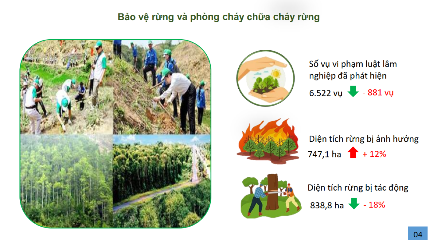 6PG88VN