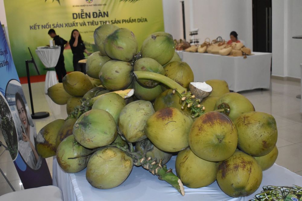Dự kiến, Pg88vnd link khuyến  dừa sẽ đạt khoảng 1 tỷ USD trong năm 2024.