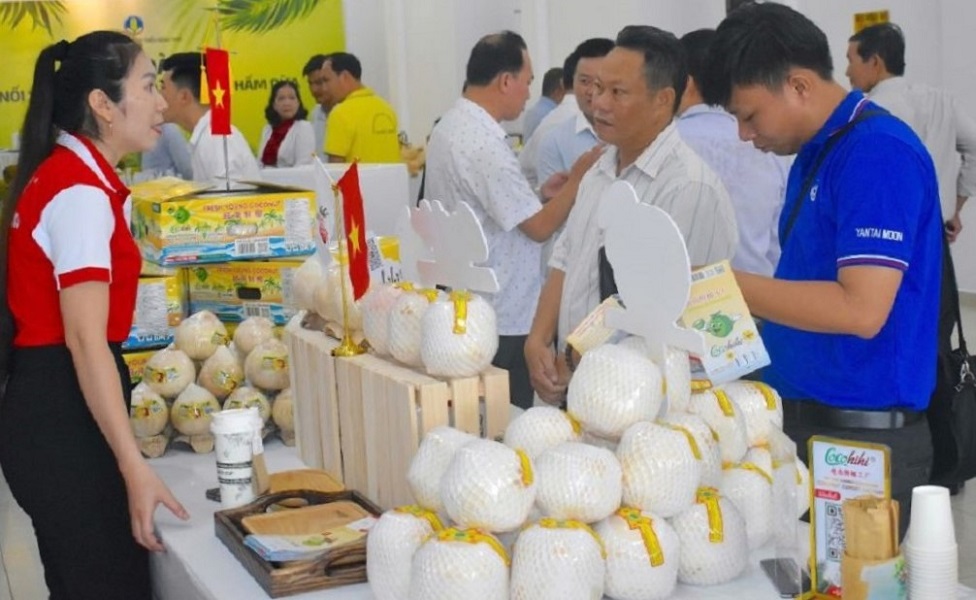 Dừa Việt Nam đang trở thành mặt hàng Pg88 com chính chủ với giá trị cao.