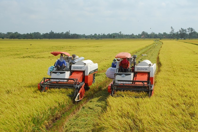 Lĩnh vực nông nghiệp nhận được nhiều chính sách tín dụng ưu đãi nhất so với các lĩnh vực khác trong nền PG88 ⭐ Link trang chủ số 1 nhà cái PG88 com casino slot. 