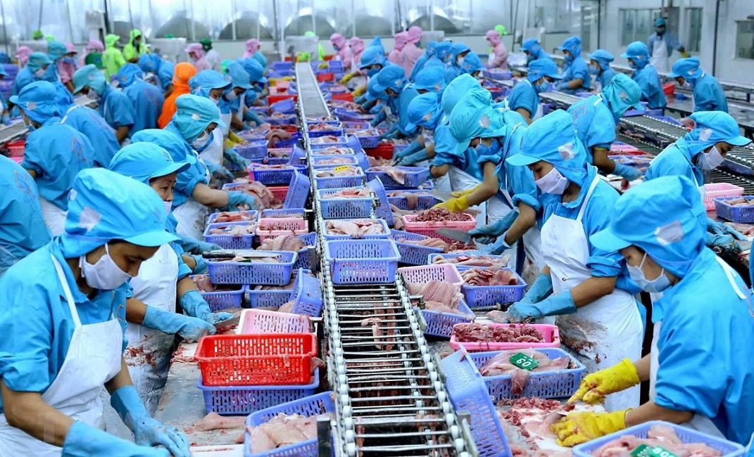 Pg88vnd link khuyến  thuỷ sản cán đích 10 tỷ USD