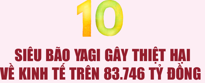 6PG88VN