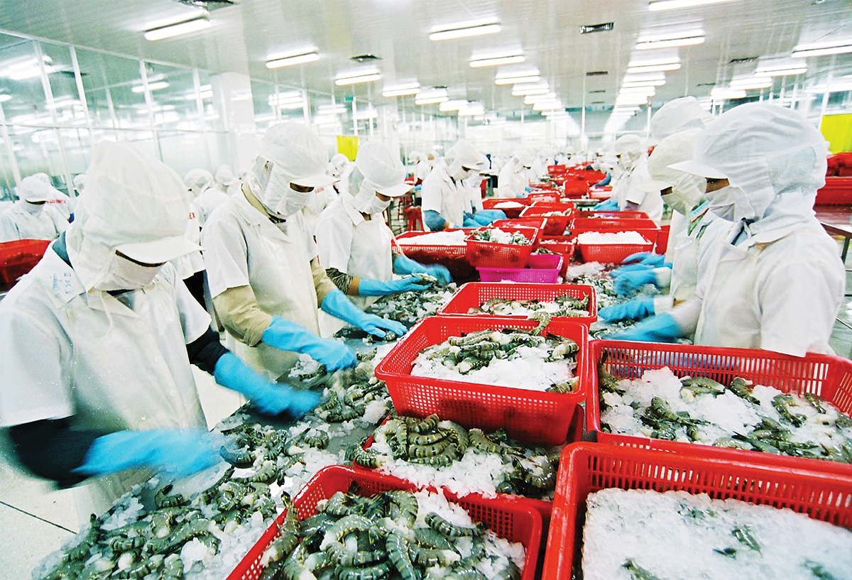 Pg88vnd link khuyến  thuỷ sản đem về hơn 10 tỷ USD