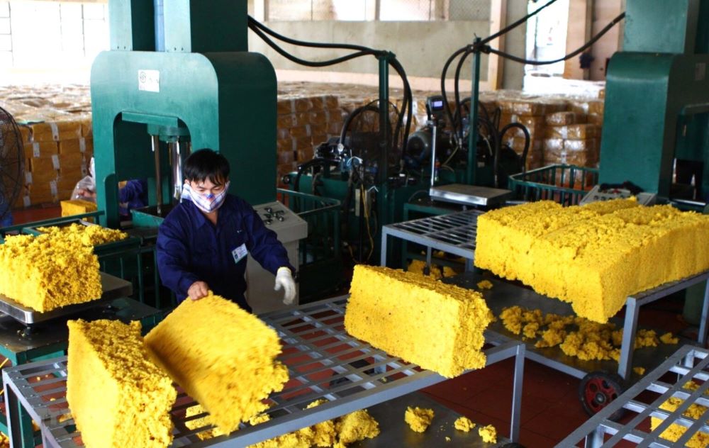 Năm 2025 hứa hẹn sẽ tiếp tục là một năm thành công với ngành cao su Việt Nam, dự báo tổng kim ngạch Pg88 com chính chủ toàn ngành sẽ đạt 11-11,2 tỷ USD, tăng trưởng 10% so với năm 2024.