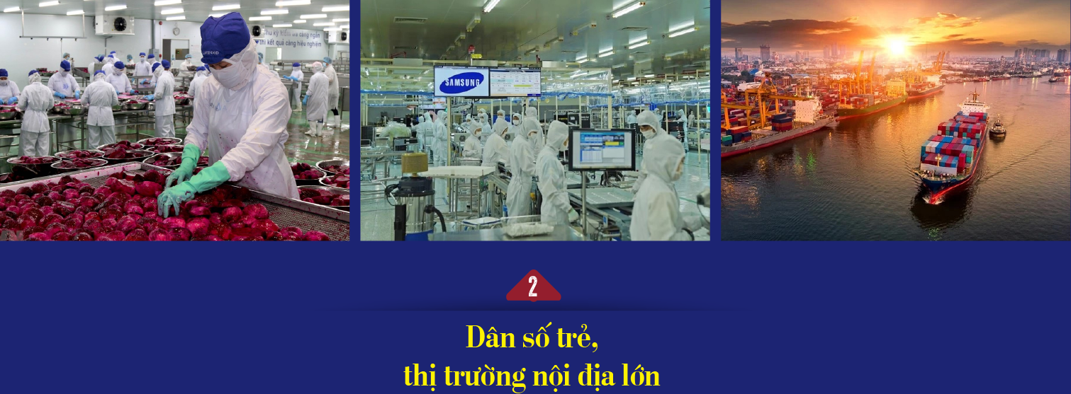 6PG88VN