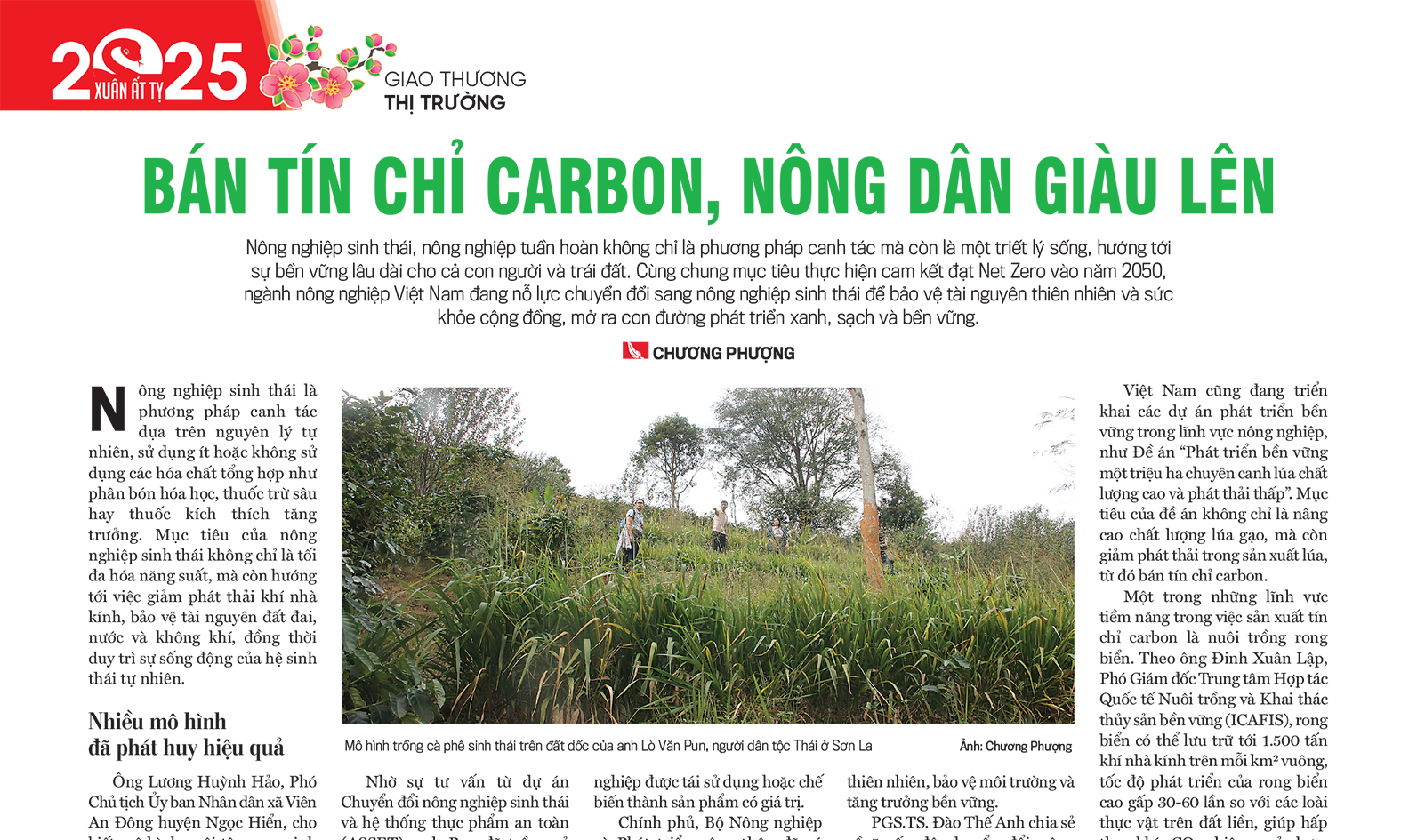 6PG88VN