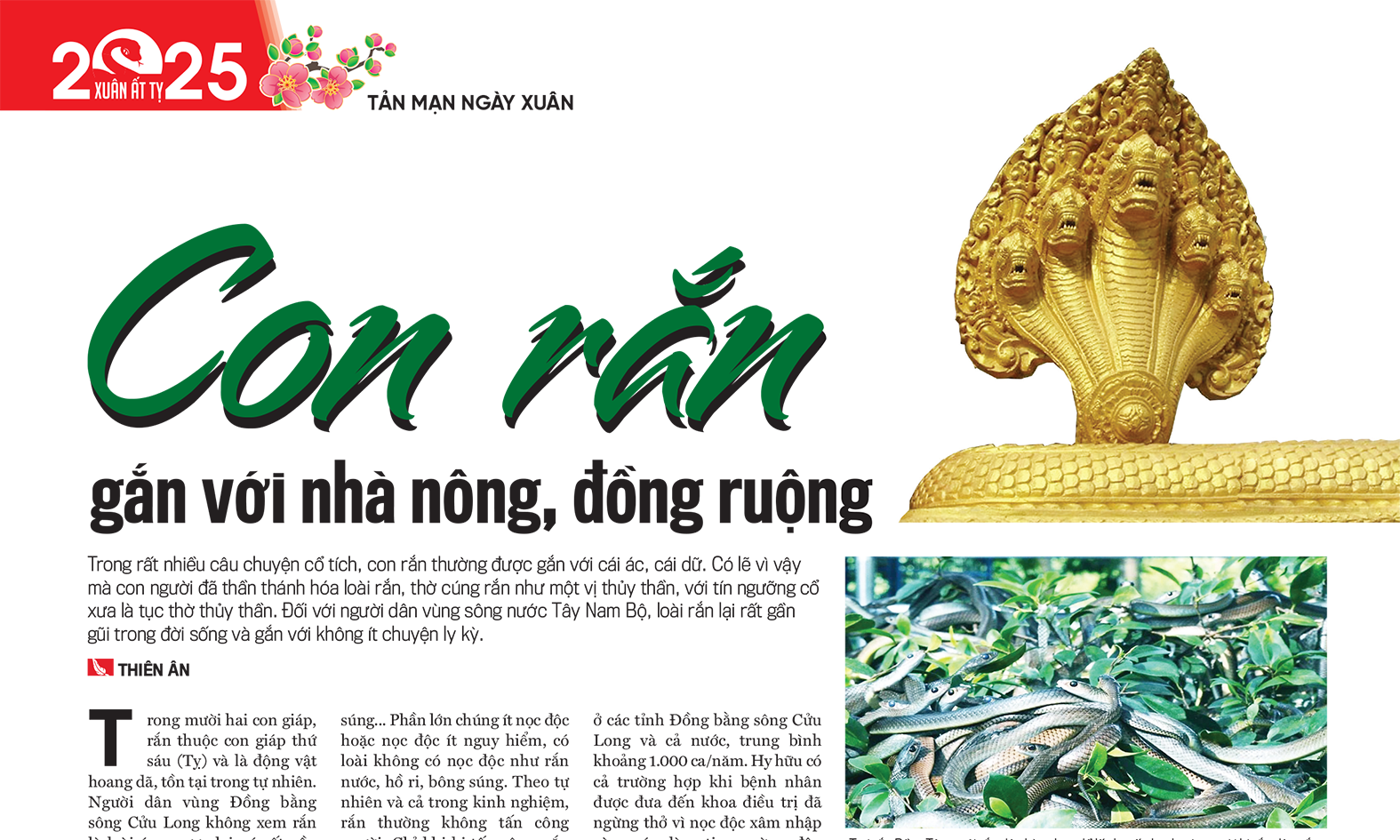 6PG88VN
