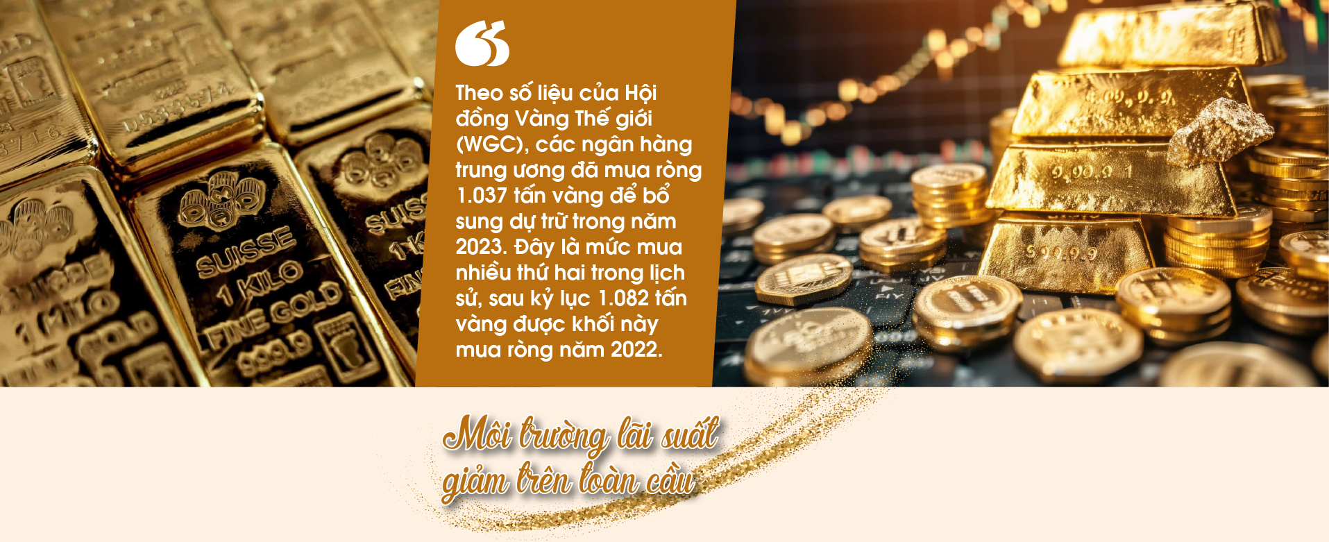 6PG88VN