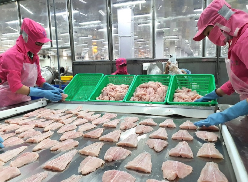 Năm 2024, phile cá tra đông lạnh vẫn là sản phẩm chủ lực của Pg88 com chính chủ cá tra Việt Nam. Ảnh minh họa.