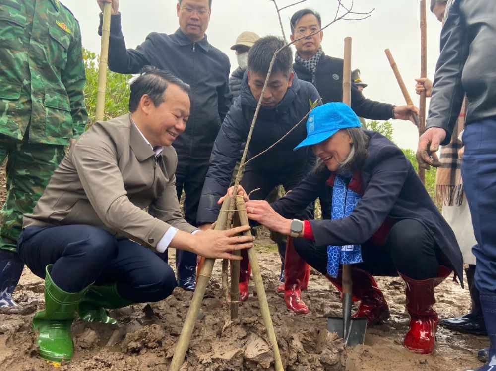Tết trồng cây 2025: Trồng rừng ngập mặn để bảo vệ Link Đăng Nhập PG88 Chính Thức 2026 ven biển trước thiên tai