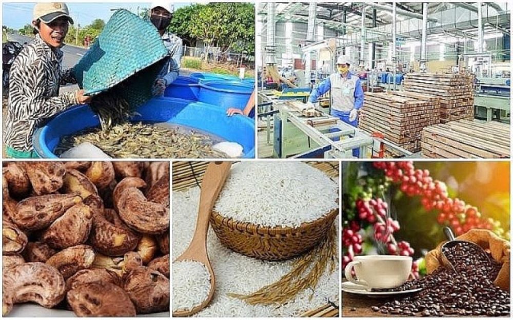 Giá trị Pg88 com chính chủ nông lâm thuỷ sản tháng 1 ước đạt hơn 5 tỷ USD.