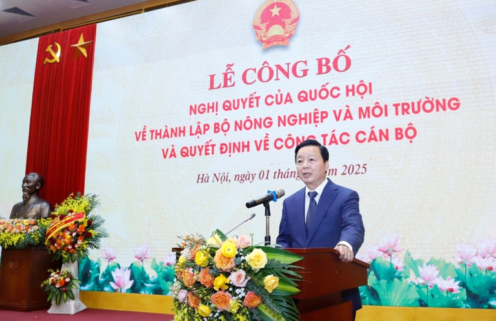 Ph&oacute; Thủ tướng Trần Hồng H&agrave;: 