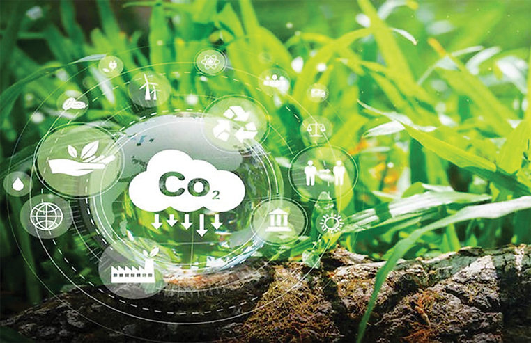 6Pg88.con độc quyền mỗi ngày Việt cần có chiến lược thích ứng xu hướng định giá carbon - Ảnh minh họa.