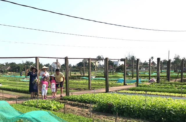 Kh&aacute;ch du lịch tham quan điểm du lịch sinh th&aacute;i-l&agrave;ng rau Tr&agrave; Quế, Hội An. Ảnh Ng&ocirc; Anh Văn