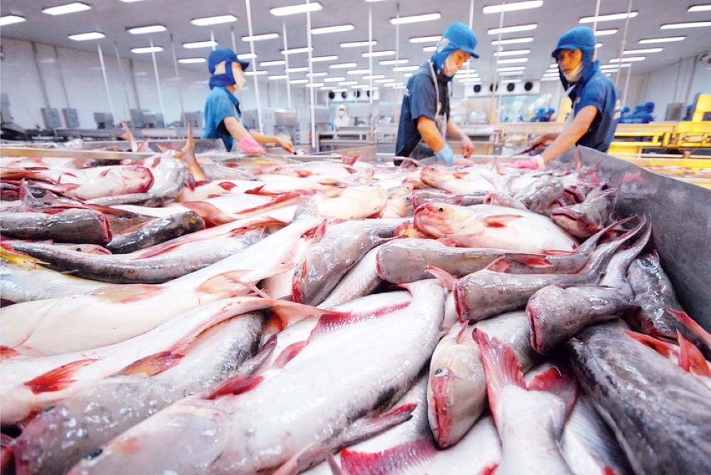 Pg88 com chính chủ cá tra đem về 253 triệu USD  trong 2 tháng đầu năm 2025