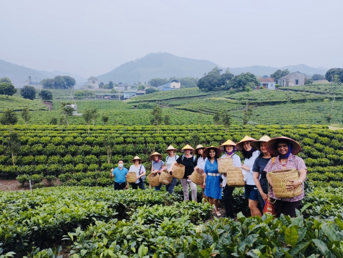 Thái Nguyên đang chú trọng PG88 hơn 2,1 triệu thành viên sản phẩm du lịch văn hóa Trà.