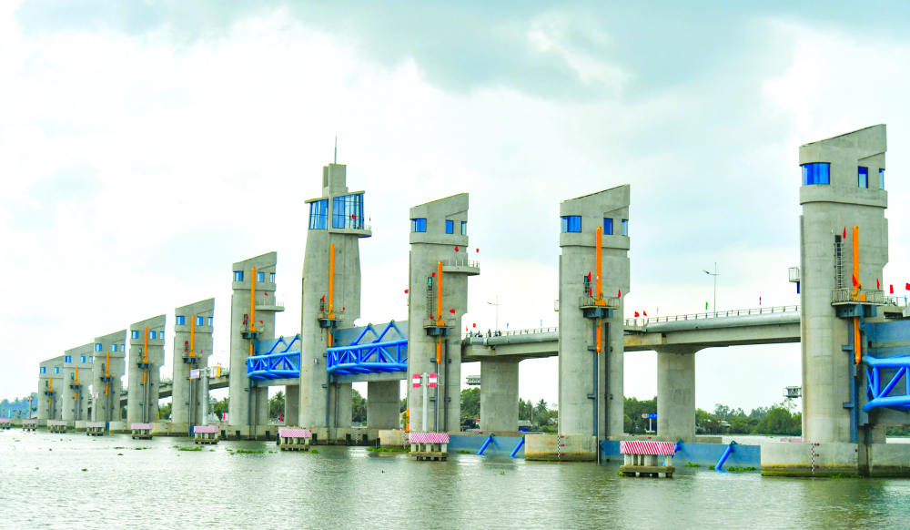 Ngành nông nghiệp đồng bằng sông Cửu Long “gồng mình” ứng phó với hạn mặn