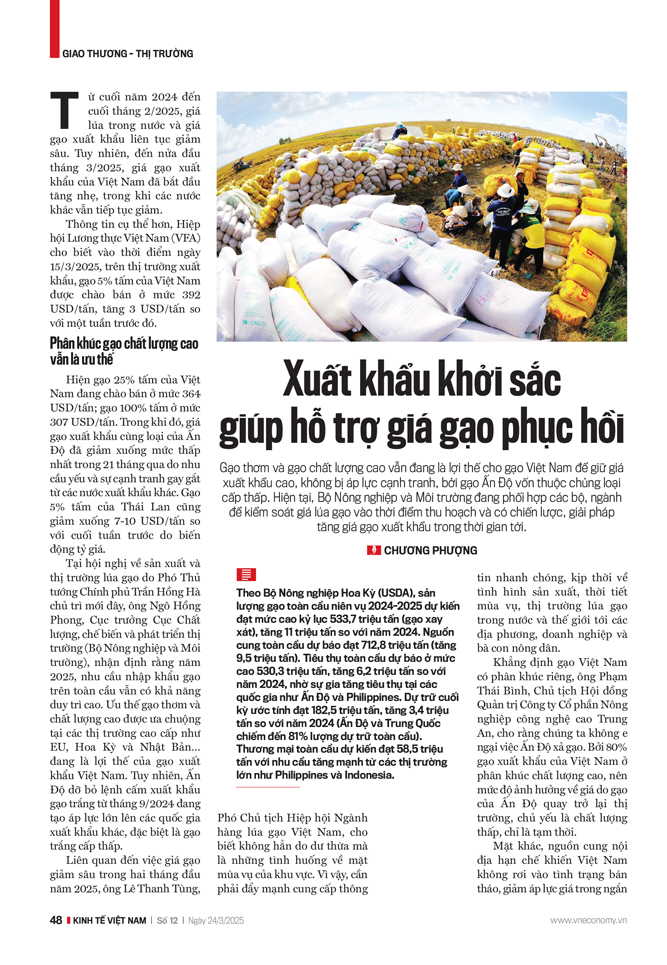 6PG88VN
