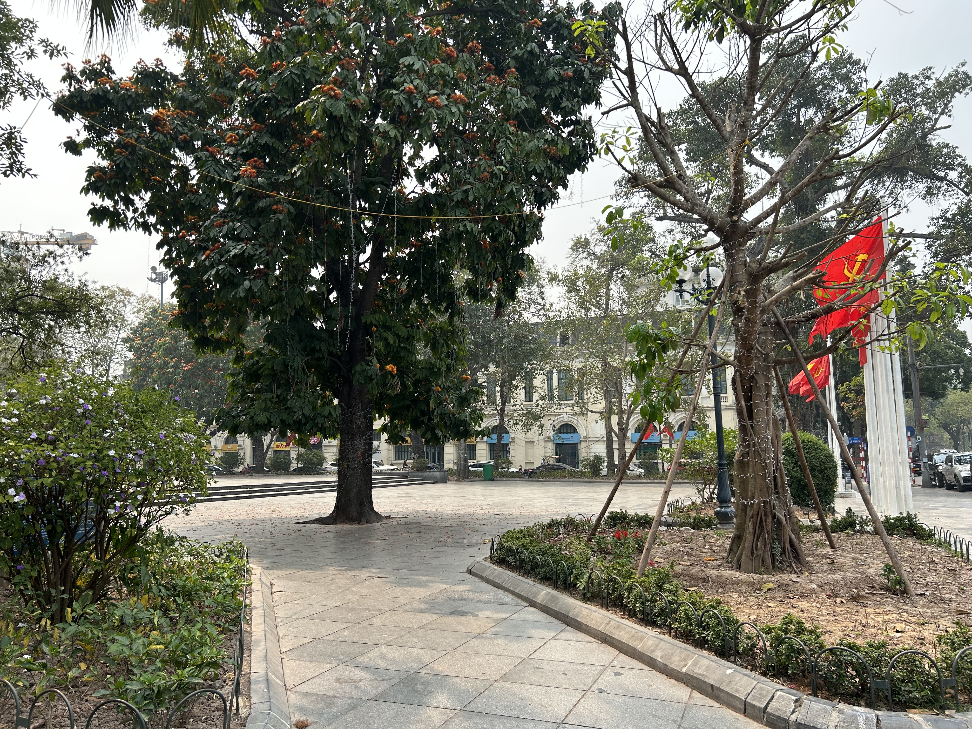 Một góc vườn hoa Lý Thái Tổ.