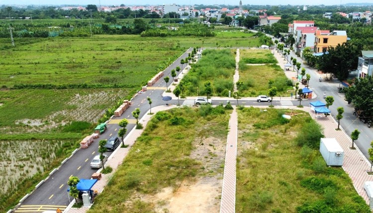 Ảnh minh hoạ