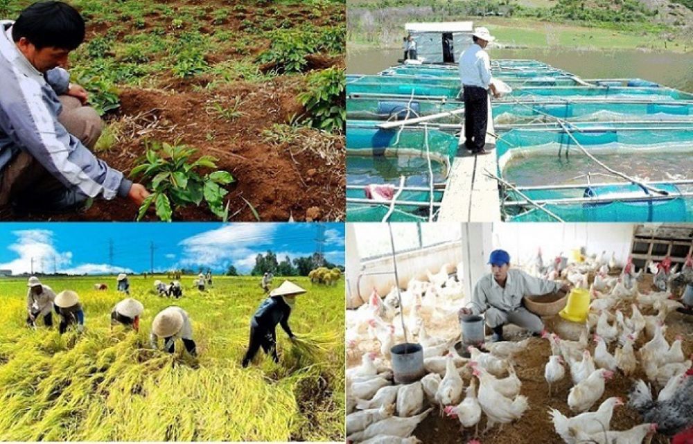 Ngành nông nghiệp đang nỗ lực để hướng tới mục tiêu tăng trưởng  trên 4%/năm