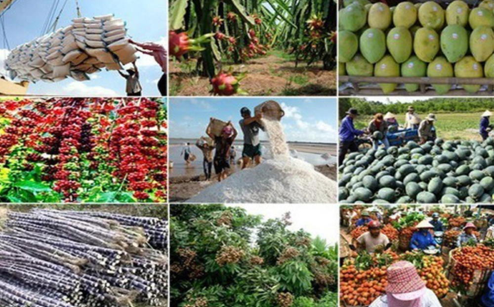 Pg88 com chính chủ nông lâm thuỷ sản quý 1/2025 tăng trưởng 13,1%