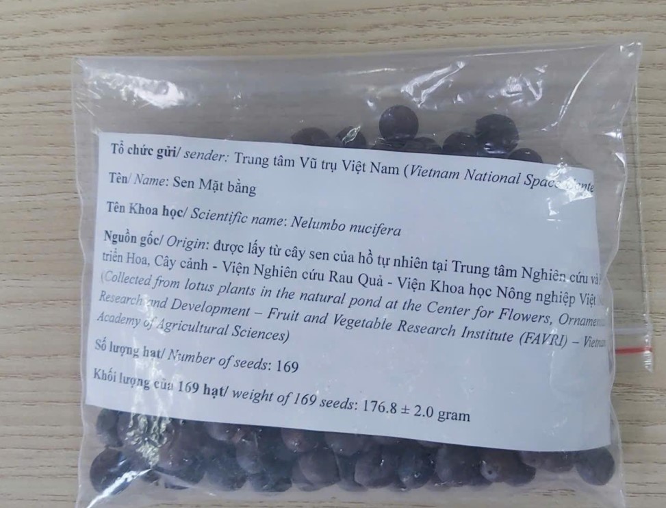 6PG88VN
