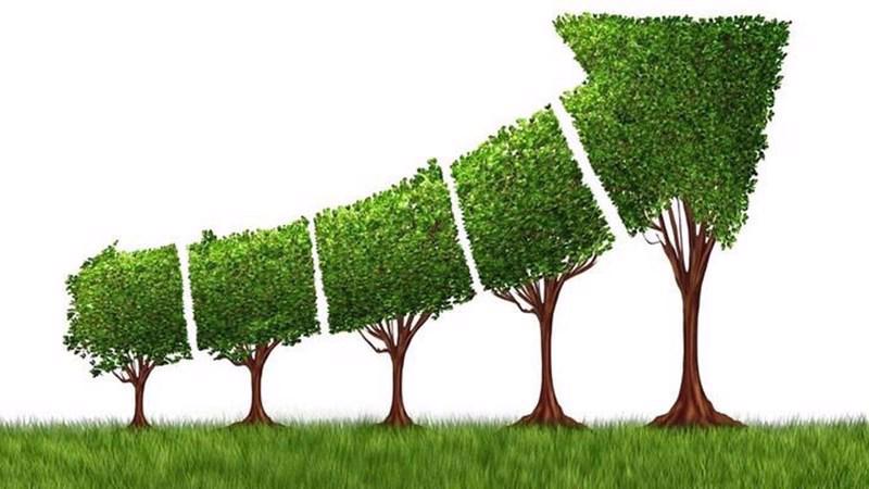 Bước chuyển mình trong dòng chảy phát triển xanh toàn cầu