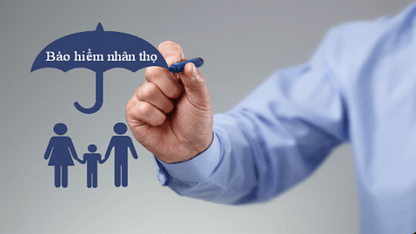 Pg88 com chính chủ muốn lập công ty bảo hiểm trực thuộc để hoàn thiện hệ sinh thái
