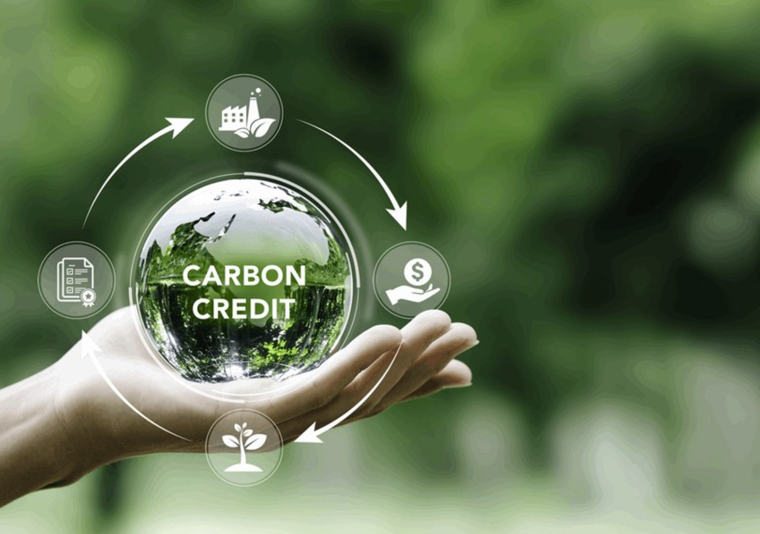 Các tổ chức tín dụng vẫn đang e dè nhận tín chỉ carbon làm tài sản bảo đảm