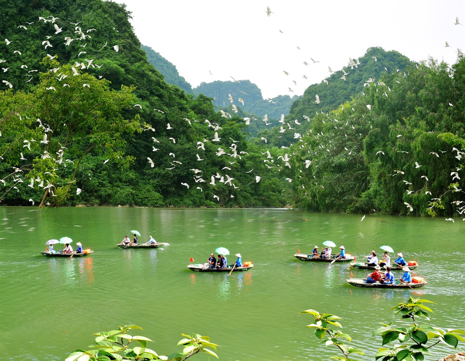 Ninh Bình với thế mạnh du lịch sinh thái sẽ thúc đẩy mạnh mẽ PG88 hơn 2,1 triệu thành viên Pg88vnd nổ hũ 