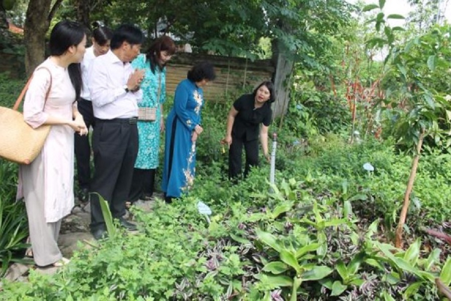 Đổi mới sáng tạo trong phát triển tài nguyên dược liệu tại Ninh Bình