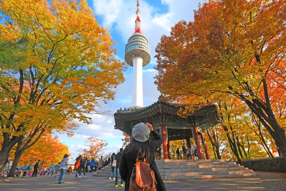 PG88 Link Dễ Nhớ Pg88.com lữ h&agrave;nh H&agrave;n Quốc&nbsp;sẽ đẩy mạnh tour ngắm l&aacute; phong v&agrave;o m&ugrave;a thu v&agrave; trượt tuyết v&agrave;o m&ugrave;a đ&ocirc;ng.&nbsp;
