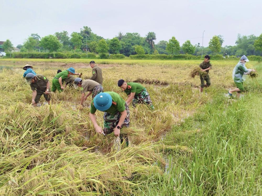 &nbsp;Lực lượng C&ocirc;ng an x&atilde; v&agrave; lực lượng đảm bảo an ninh cơ sở tại c&aacute;c địa b&agrave;n ở H&agrave; Tĩnh đ&atilde; khẩn trương c&oacute; mặt tại c&aacute;c c&aacute;nh đồng l&uacute;a để đồng h&agrave;nh, hỗ trợ c&ugrave;ng b&agrave; con nh&acirc;n d&acirc;n gặt l&uacute;a, thu gom những hạt th&oacute;c c&ograve;n s&oacute;t lại sau ngập &uacute;ng.