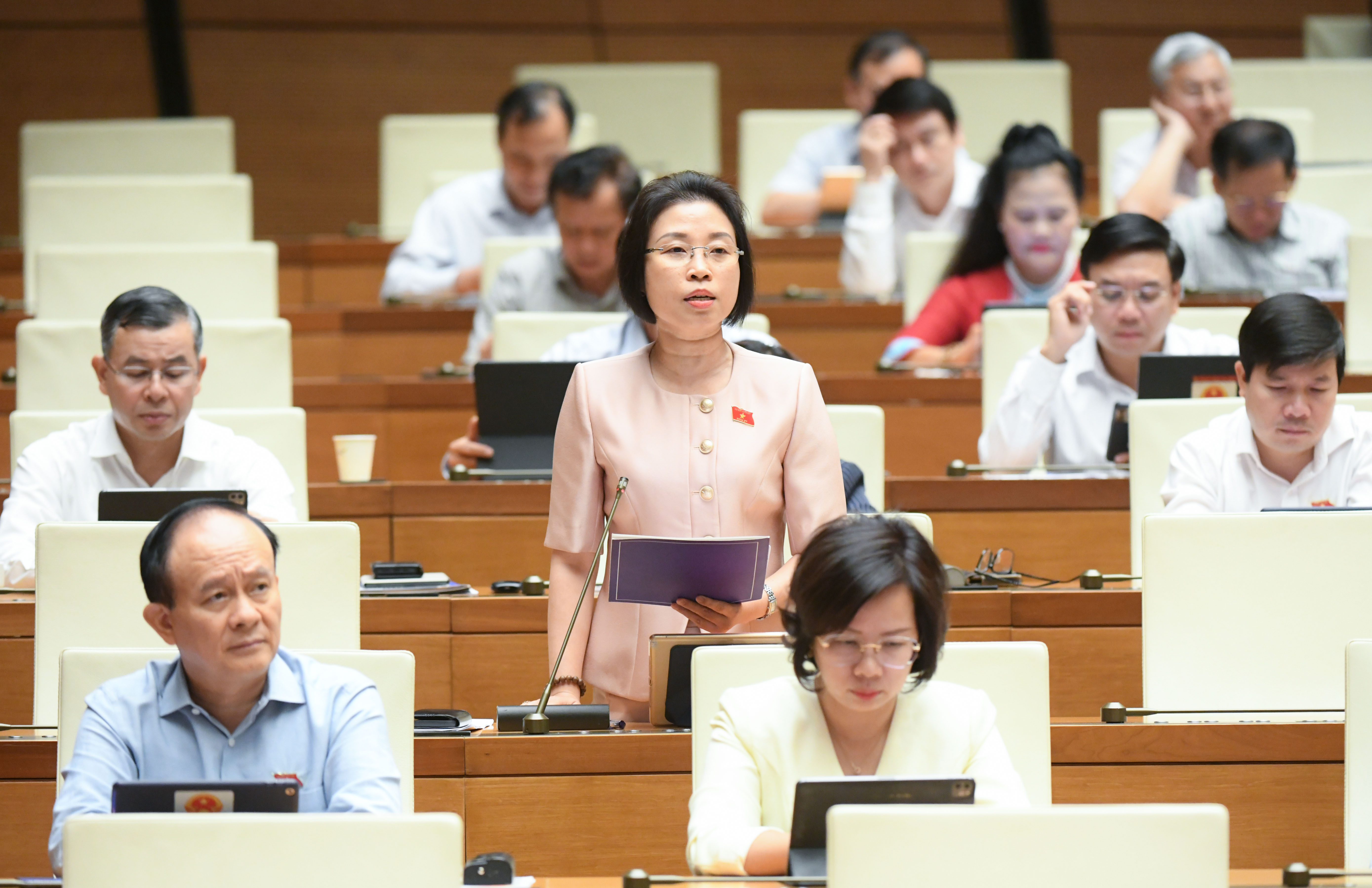 Đại biểu Phạm Thị Thanh Mai, đo&agrave;n TP. H&agrave; Nội.