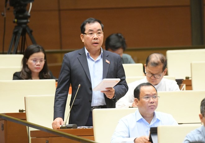 Đại biểu Nguyễn Quang Hu&acirc;n, đo&agrave;n B&igrave;nh Dương.
