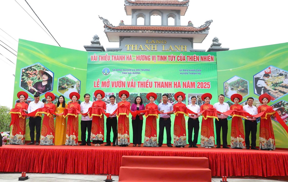 Cắt băng mở vườn vải thiều Thanh H&agrave;.