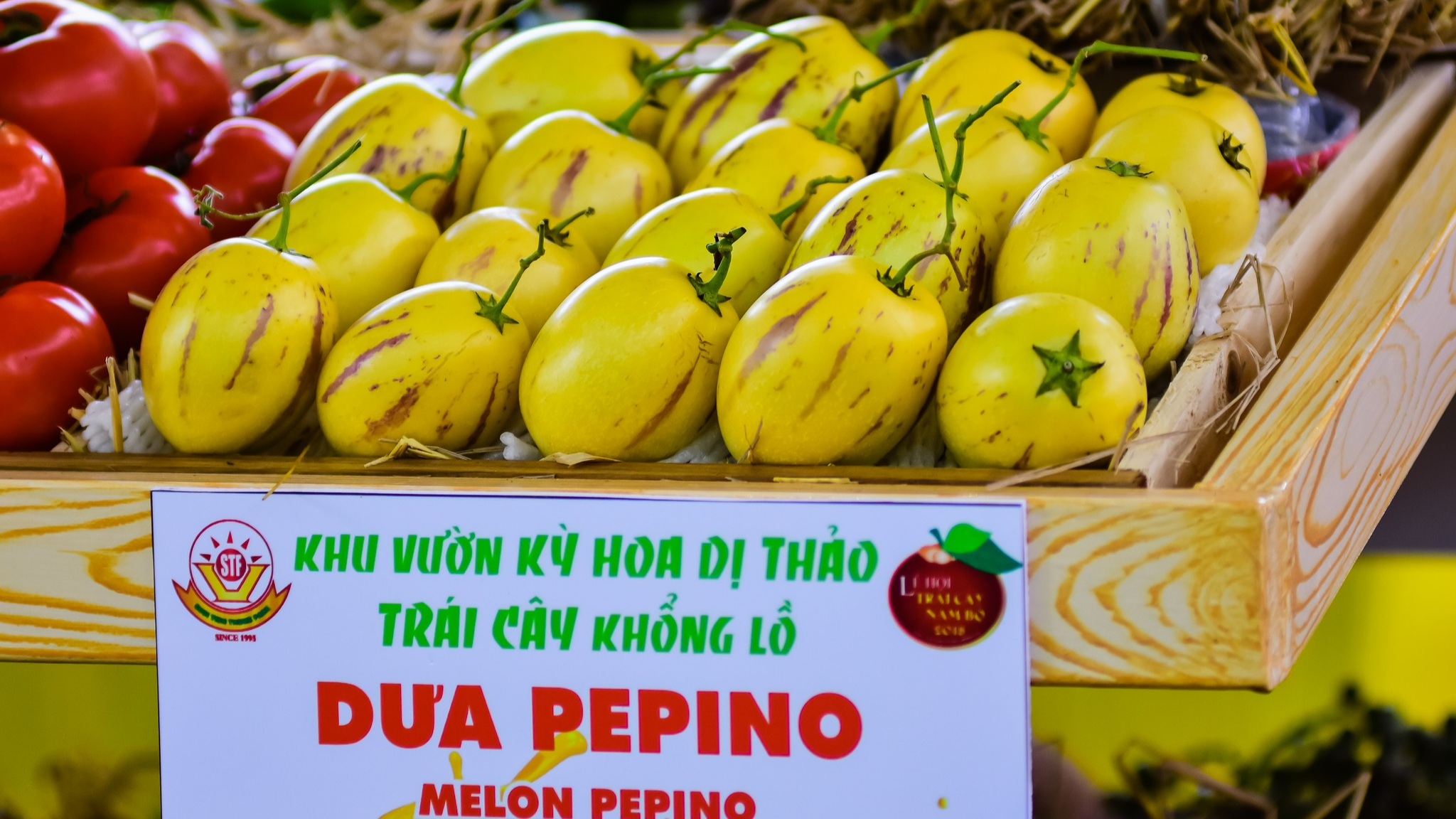 6PG88VN