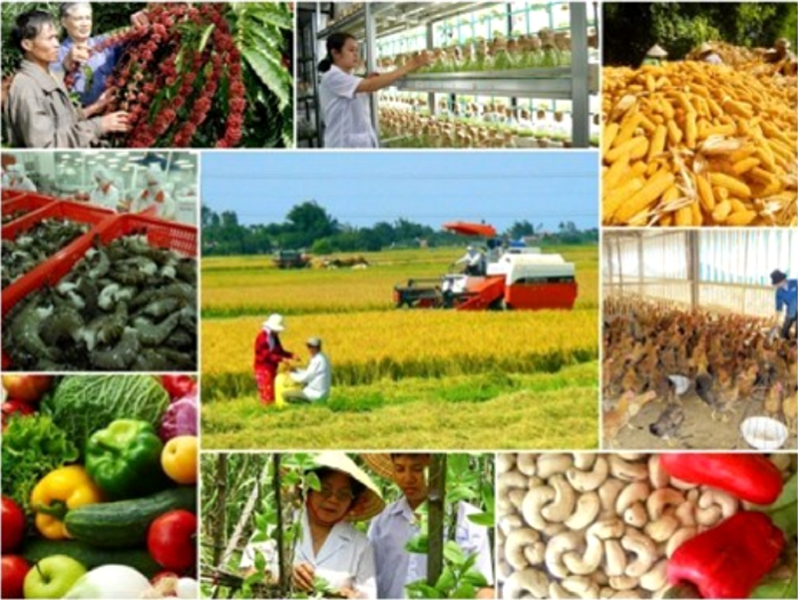 Sản xuất nông nghiệp tiếp tục PG88 hơn 2,1 triệu thành viên ổn định.