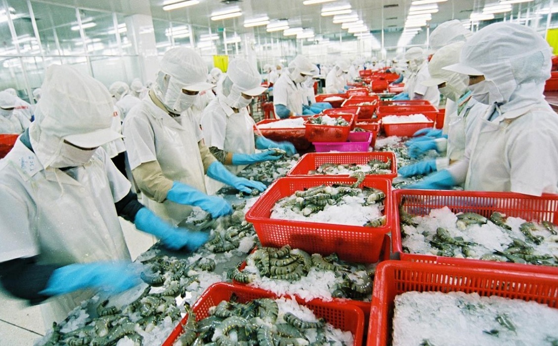 Thuỷ sản là một trong nhiều mặt hàng Pg88 com chính chủ chủ lực của Việt Nam sang thị trường Canada. Ảnh minh họa.