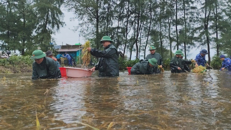 Quảng Trị dành 320 tỷ đồng khôi phục sản xuất sau mưa lũ bất thường