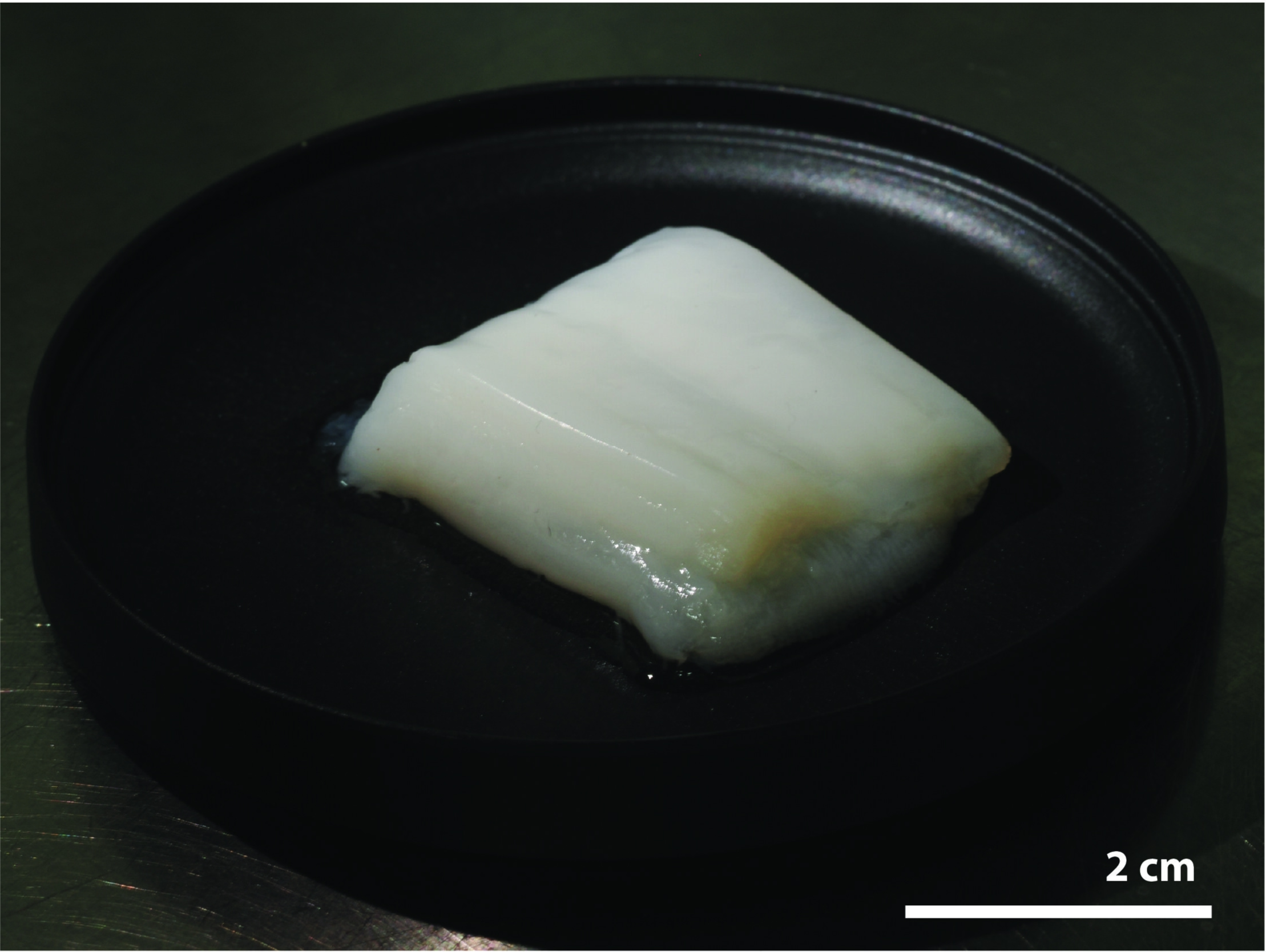 Miếng thịt g&agrave; nh&acirc;n tạo nặng hơn 10g.