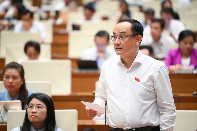 Đại biểu Nguyễn Ngọc Sơn, đo&agrave;n Hải Dương.