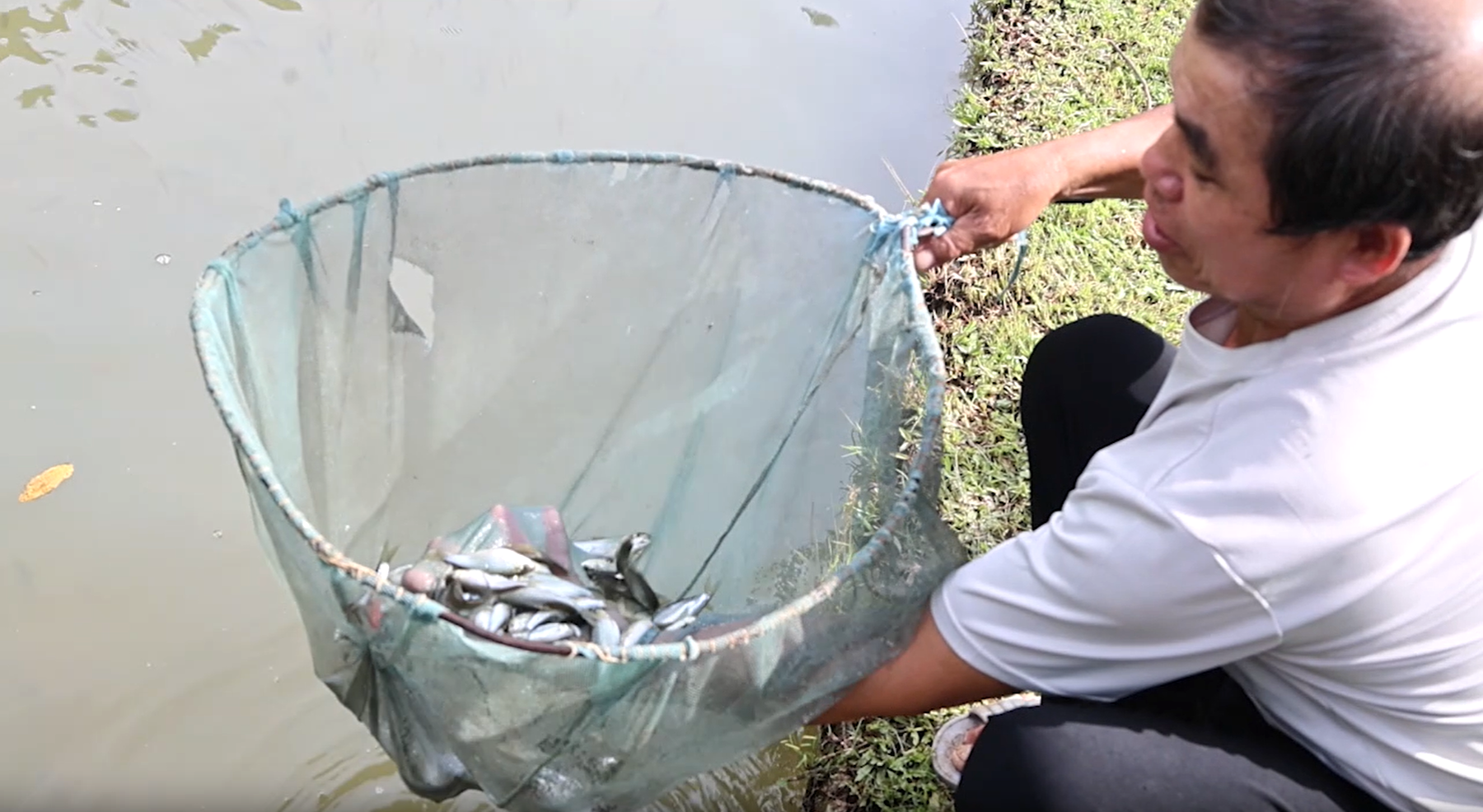 Gia đ&igrave;nh &ocirc;ng Khường hỗ trợ c&aacute; giống, kỹ thuật v&agrave; cả vốn gi&uacute;p nhiều hộ gia&nbsp;đ&igrave;nh trong bản nu&ocirc;i c&aacute; dầm xanh, ph&aacute;t triển Link Trang Chủ PG88.Com Mới #2026