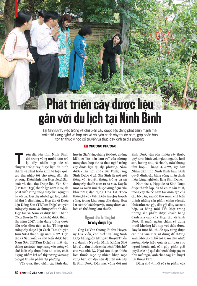 6PG88VN