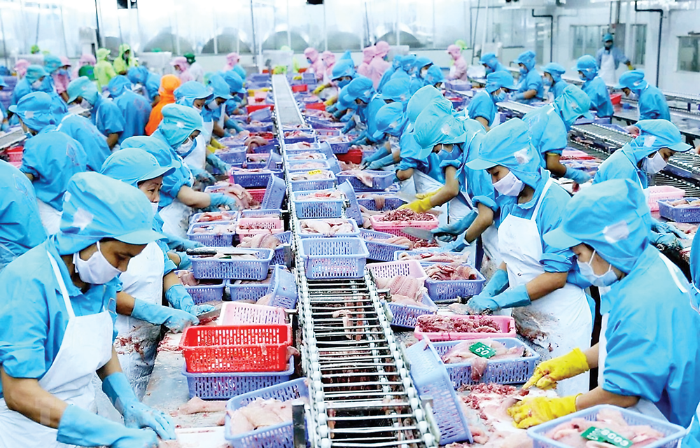 Pg88 com chính chủ thuỷ sản trong nửa cuối năm sẽ gặp nhiều khó khăn.