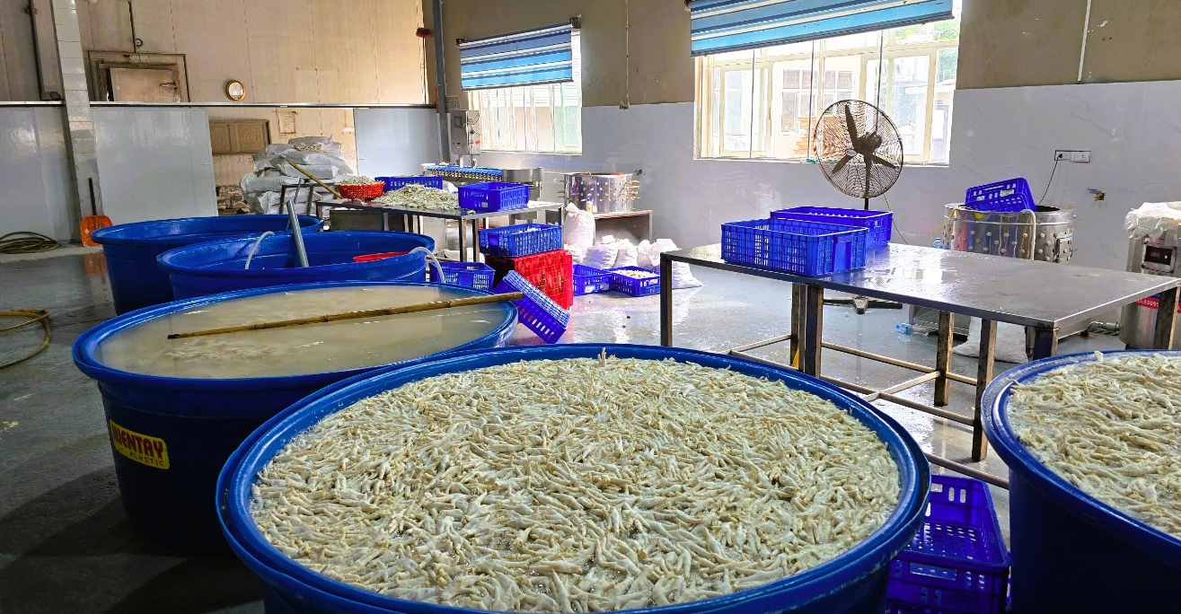 Hình ảnh chân gà ngâm hóa chất tại kho đông lạnh Thanh Bình.